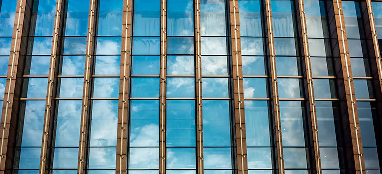 Professional Window Tinting Services in Clearwater, FL