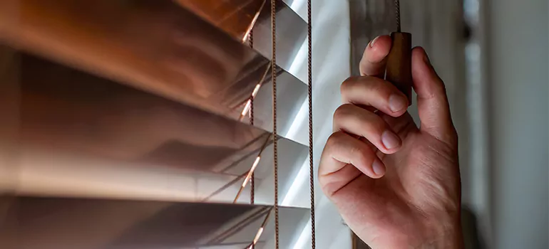 Double Roller Blinds in Clearwater, FL