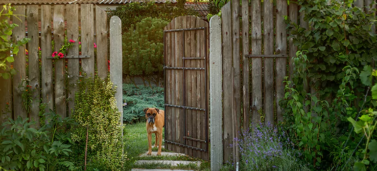 Winter Garden Garage Door Repair in Clearwater,[location field=state]