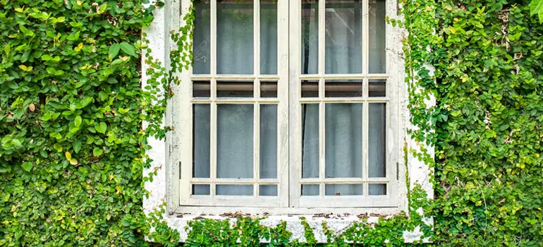 Garden Window Repair Near Me in Clearwater, FL