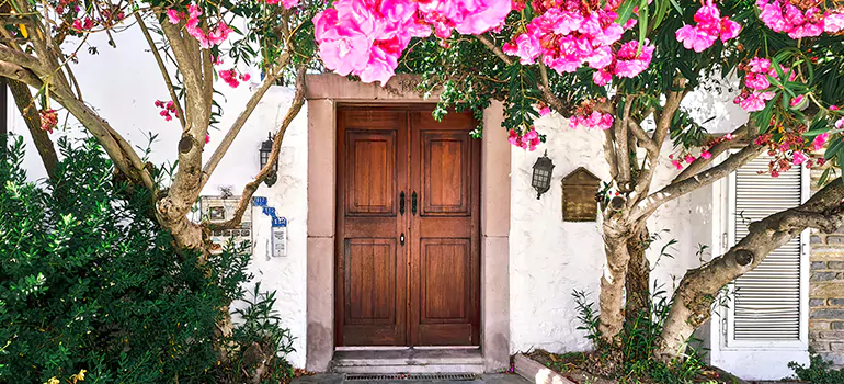 Traditional 4 Panel Internal Doors in Clearwater, FL